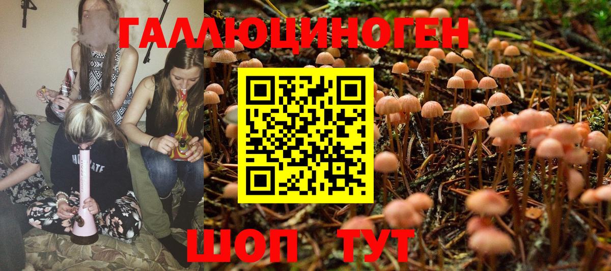 Амурск  Псилоцибиновые грибы Magic Shrooms  Вход с VPN  Галлюциногенные грибы прущие грибы 
