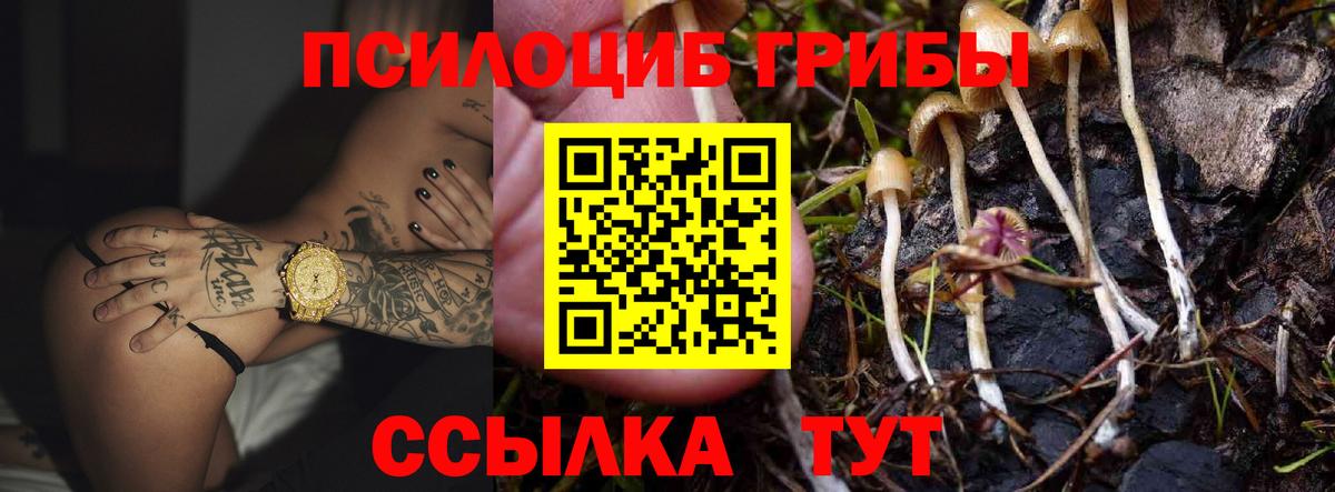 Галлюциногенные грибы мицелий Амурск